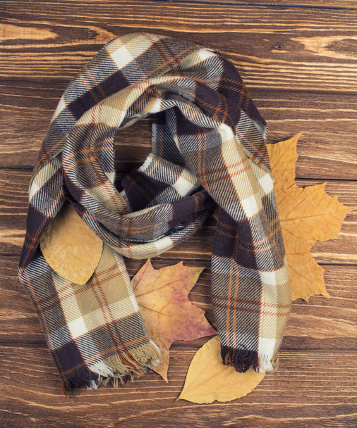 Écharpe à carreaux confortable et feuilles d'automne
 - Photo, image