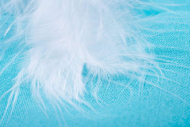 Parlak turkuaz kumaş üzerinde beyaz tüy - Fotoğraf, Görsel