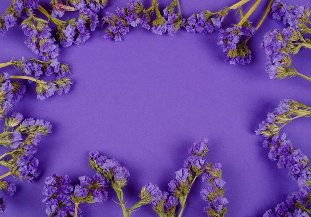 пурпурні та сині квіти
 - Фото, зображення