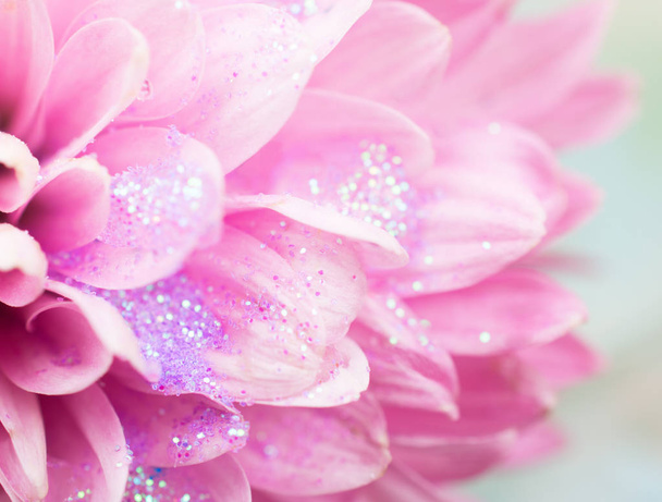 Пелюстки квітів покриті блискучою росою
 - Фото, зображення