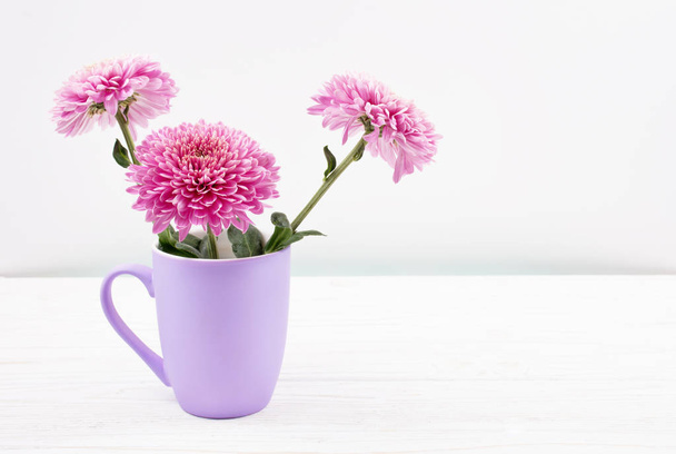 Beautiful pink chrysanthemum flowers in a purple cup - Foto, immagini