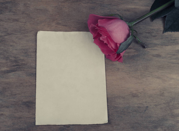 Sheet of paper and a rose - Photo, Image