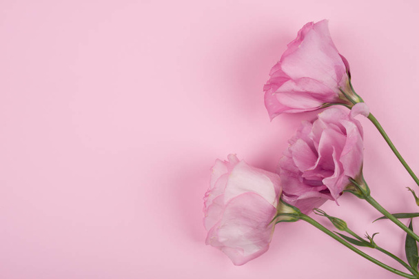 Lisianthus (Eustoma) kwiaty na pastelowe różowe tło - Zdjęcie, obraz