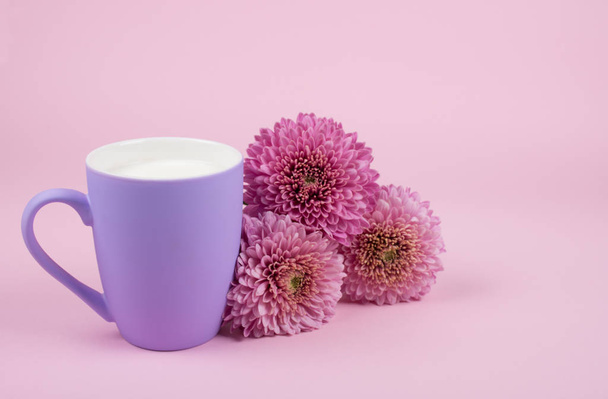 Copa de leche y flores de crisantemo rosa
 - Foto, Imagen