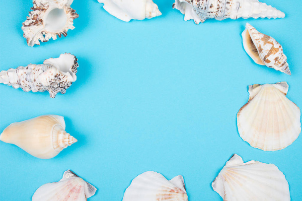 Collection of seashells forming a frame - Foto, Imagen