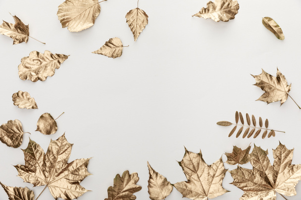 top view of golden foliage on white background - Photo, Image