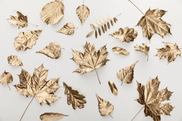 a Golden őszi levelek felülnézete fehér alapon - Fotó, kép
