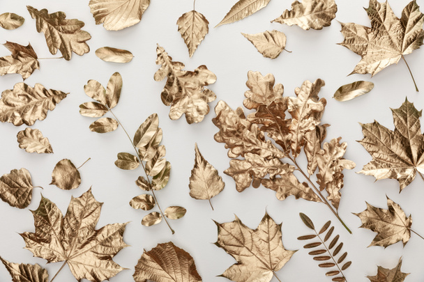 top view of golden painted foliage on white background - Fotografie, Obrázek