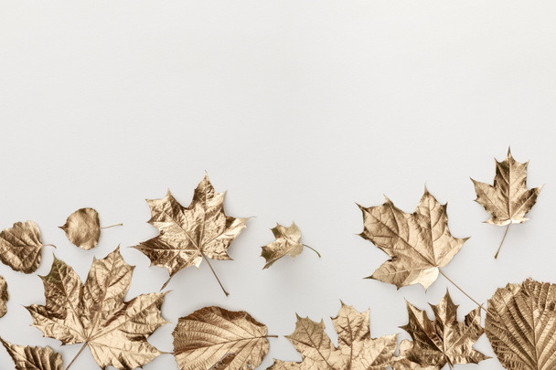 top view of golden leaves on white background with copy space - Fotoğraf, Görsel