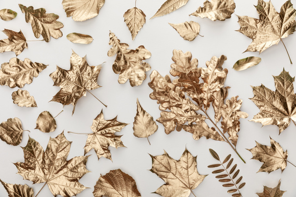 top view of golden painted autumnal foliage on white background - Photo, Image