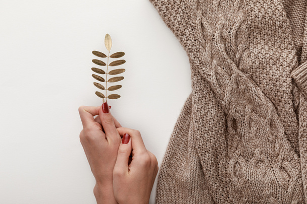 cropped view of woman holding golden leaf near knitted brown sweater on white background - Foto, Imagem
