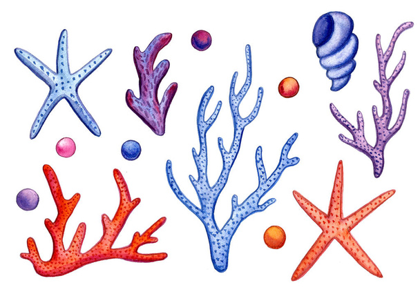 Hand paint watercolor coral sea ocean icon set design scrap book paper, textile, web sites - Foto, Imagem