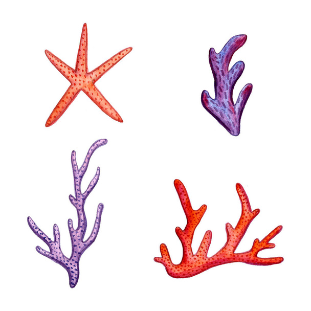 Hand paint watercolor coral sea ocean icon set design scrap book paper, textile, web sites - Foto, Imagem
