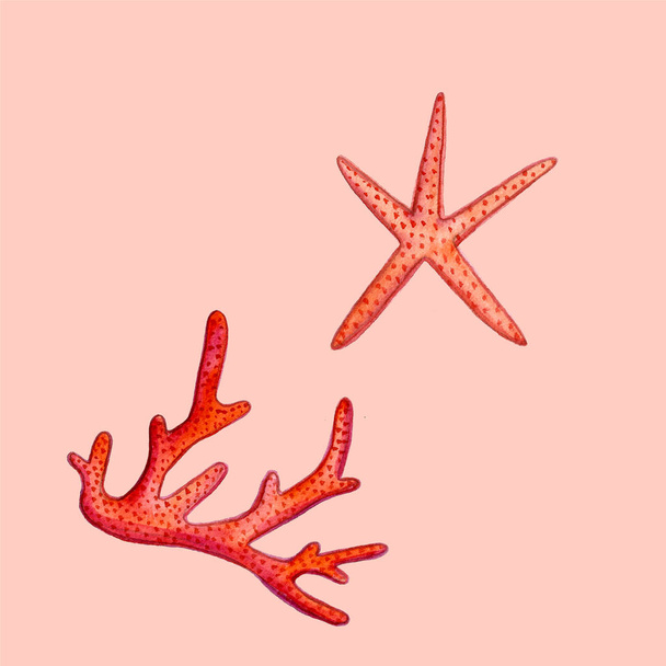 Hand paint watercolor coral sea ocean icon set design scrap book paper, textile, web sites - Foto, Bild