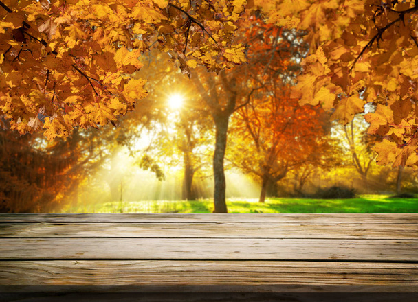 Деревянный стол в осеннем пейзаже с пустым пространством
. - Фото, изображение
