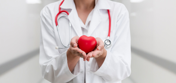 Doctor holding a red heart at hospital office. - Photo, Image