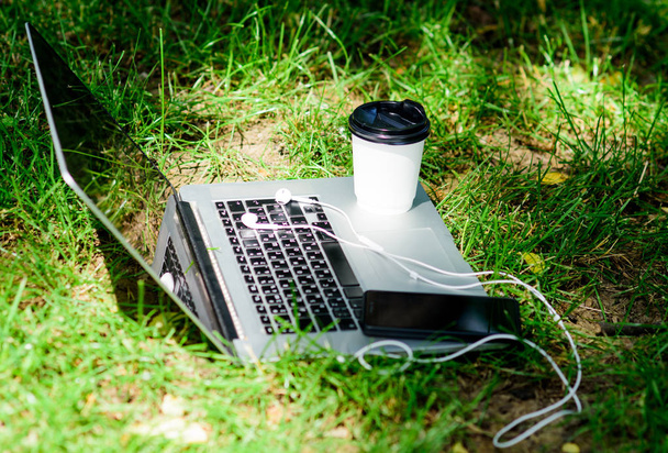 Coffee break outdoors. Laptop modern smartphone with earphones and coffee cup on green grass. Summer park. Work and relax in natural environment. Green office. Its coffee time. Coffee take away - 写真・画像