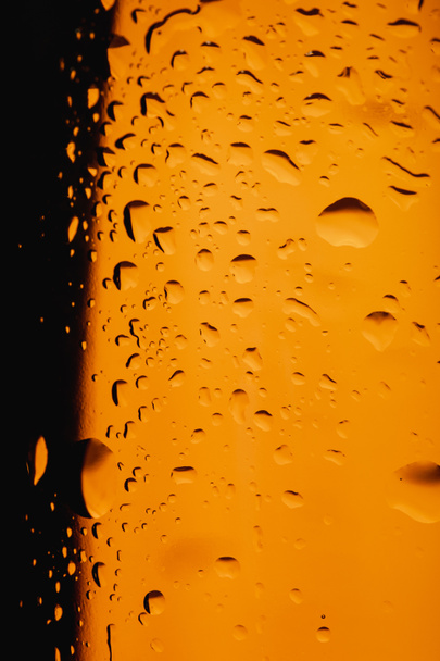 close up view of glass bottle of beer with water drops - Photo, Image
