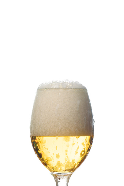 mokre szkło piwa z białą pianką na białym tle - Zdjęcie, obraz