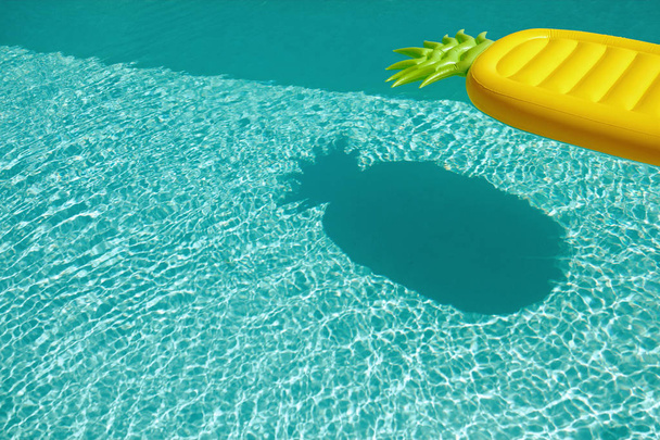 Letní. Plavecký bazén s ananasovým plovoucí vodou - Fotografie, Obrázek