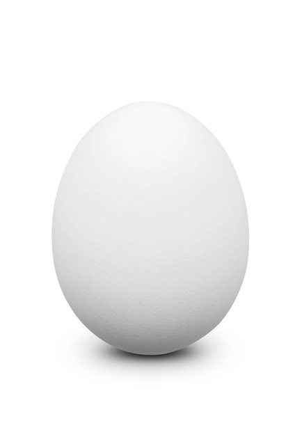 White chicken egg. - 写真・画像