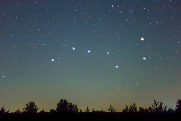 Ursa Major Constellation boven het bos silhouet - Foto, afbeelding