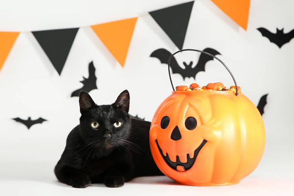 Black cat with candies in halloween bucket and paper bats on whi - Фото, изображение