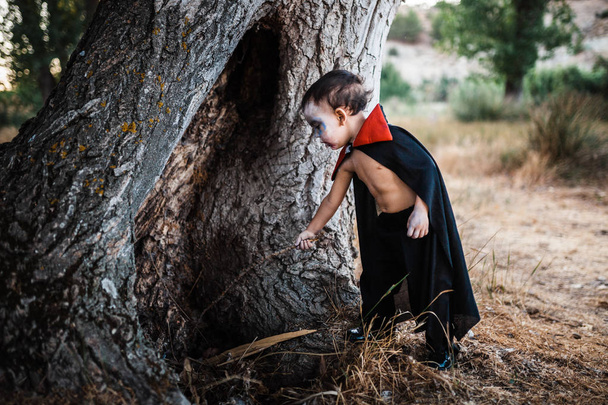 Niño serio disfrazado de Drácula a Halloween en el bosque
 - Foto, imagen