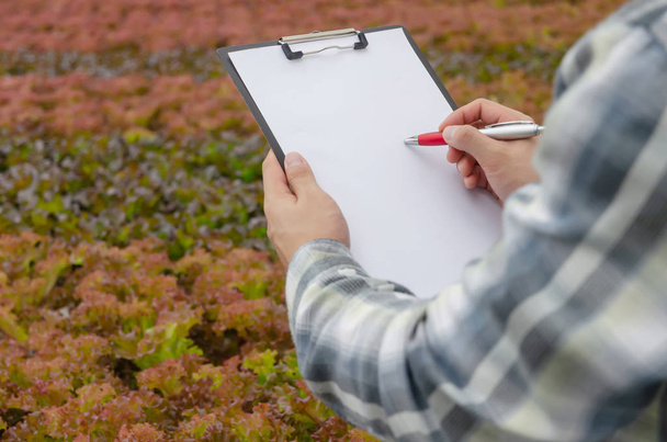 young man farmer hands writing on paper and clipboard with organic hydroponic fresh vegetables produce in greenhouse garden nursery farm, smart farming technology and agricultural innovation concept - Photo, image