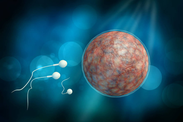 Illustration 3D Sperme et Œuf
 - Photo, image