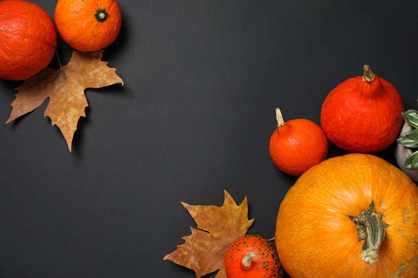 Composition with pumpkins and leaves on black background, copy s - Foto, Imagem