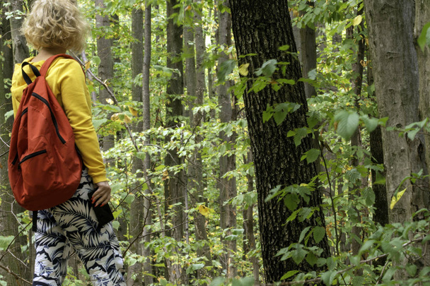 Meisje wandelen in het bos, op zoek naar landschappen klaar Voorschoten - Foto, afbeelding