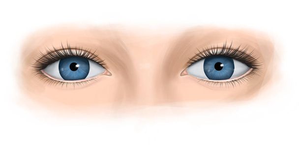 Μπλε μάτια μιας γυναίκας με μεγάλες βλεφαρίδες. Εικονογράφηση μόδας. - Φωτογραφία, εικόνα