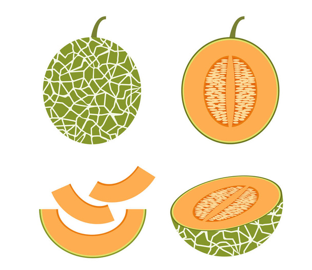 Ilustración vectorial del conjunto de melón Cantaloupe fresco aislado sobre fondo blanco
 - Vector, Imagen