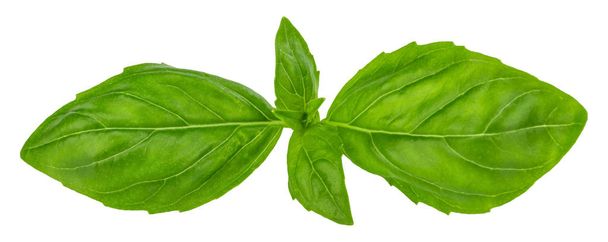 basil leaves isolated on white background with clipping path - Photo, Image