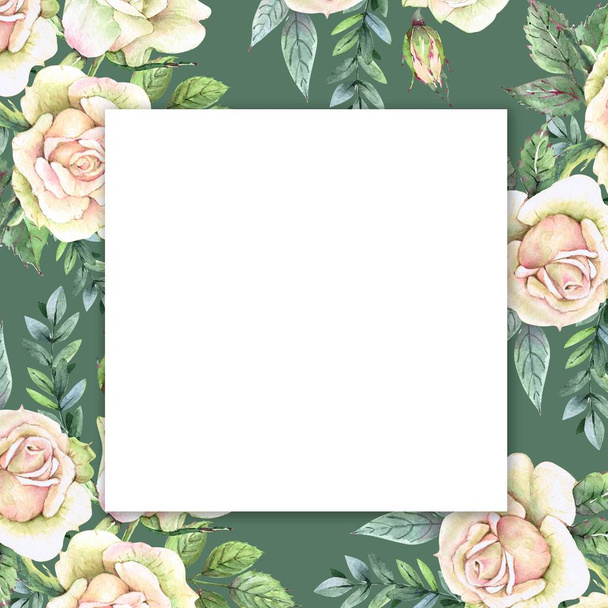 芽と葉を持つ白いバラの緑のフレーム、白い背景に水彩画の描画 - 写真・画像