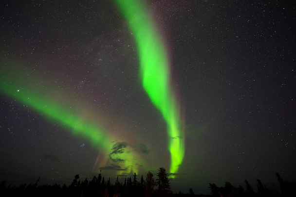 Yellowknife, Kanada-augusztus, 2019: Aurora Borealis vagy északi fények megfigyelt Yellowknife, Kanada, augusztus, 2019 - Fotó, kép