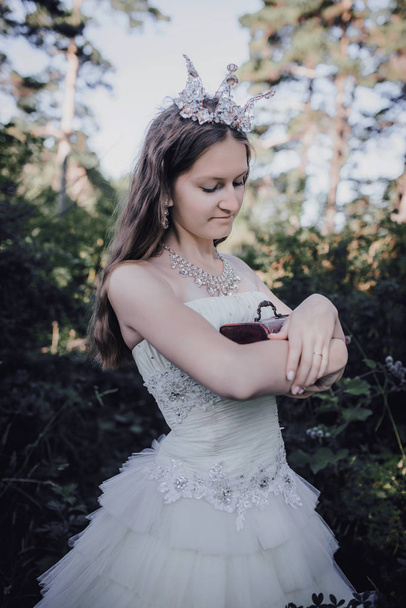 princess in a pine forest - Foto, immagini