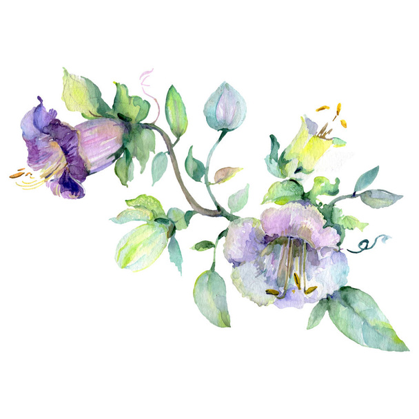 Bouquet floral botanical flowers. Watercolor background set. Isolated bouquets illustration element. - Фото, зображення