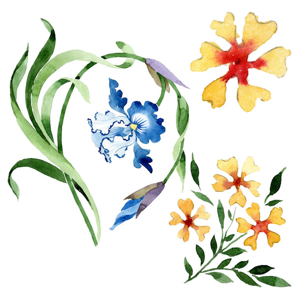 Ornament floral botanical flowers. Watercolor background illustration set. Isolated flower illustration element. - Photo, Image