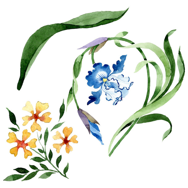 装飾花植物の花。●水彩背景イラストセット。孤立した花のイラスト要素. - 写真・画像