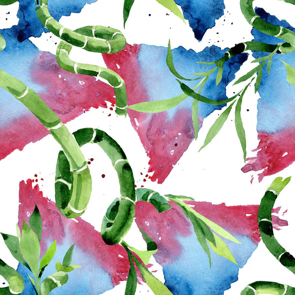 Green Draceana Sanderiana. Watercolor background illustration set. Seamless background pattern. - Photo, Image