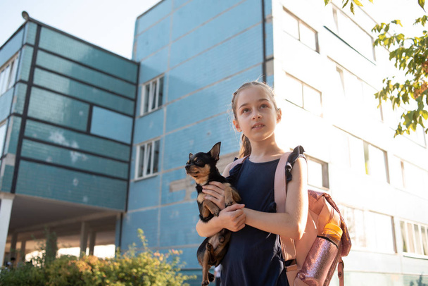 Schoolmeisje gaat naar school in de ochtendzon. Chihuahua hond zittend in de armen van een schoolmeisje. - Foto, afbeelding
