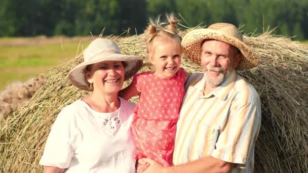 Счастливые бабушка и дедушка с маленькой внучкой на лугу
 - Кадры, видео