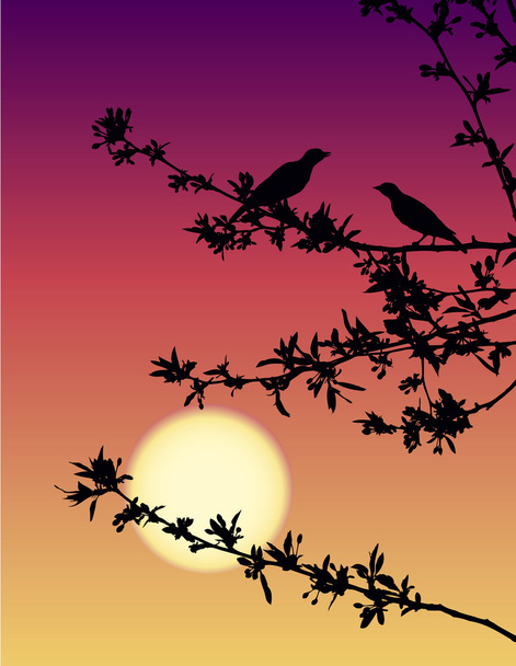 日没時のナイチンゲール - ベクター画像