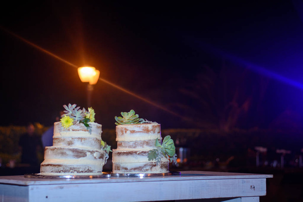 Δύο εορταστικές τούρτες σε ένα τραπέζι. Νυχτερινή σκηνή. - Φωτογραφία, εικόνα