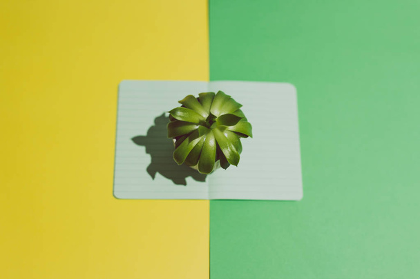 open notebook with blank green pages with lightbulb on yellow an - 写真・画像