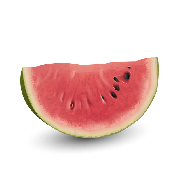 Fresh watermelon slices vector illustration isolated on white. - Vector, Image