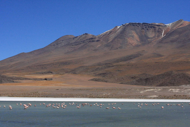 Салар де Уюні, серед Анд на південному заході Болівії - Фото, зображення