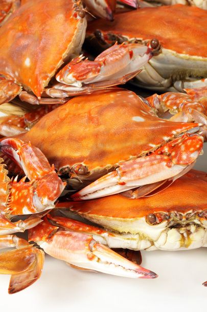Steamed crabs - Foto, afbeelding